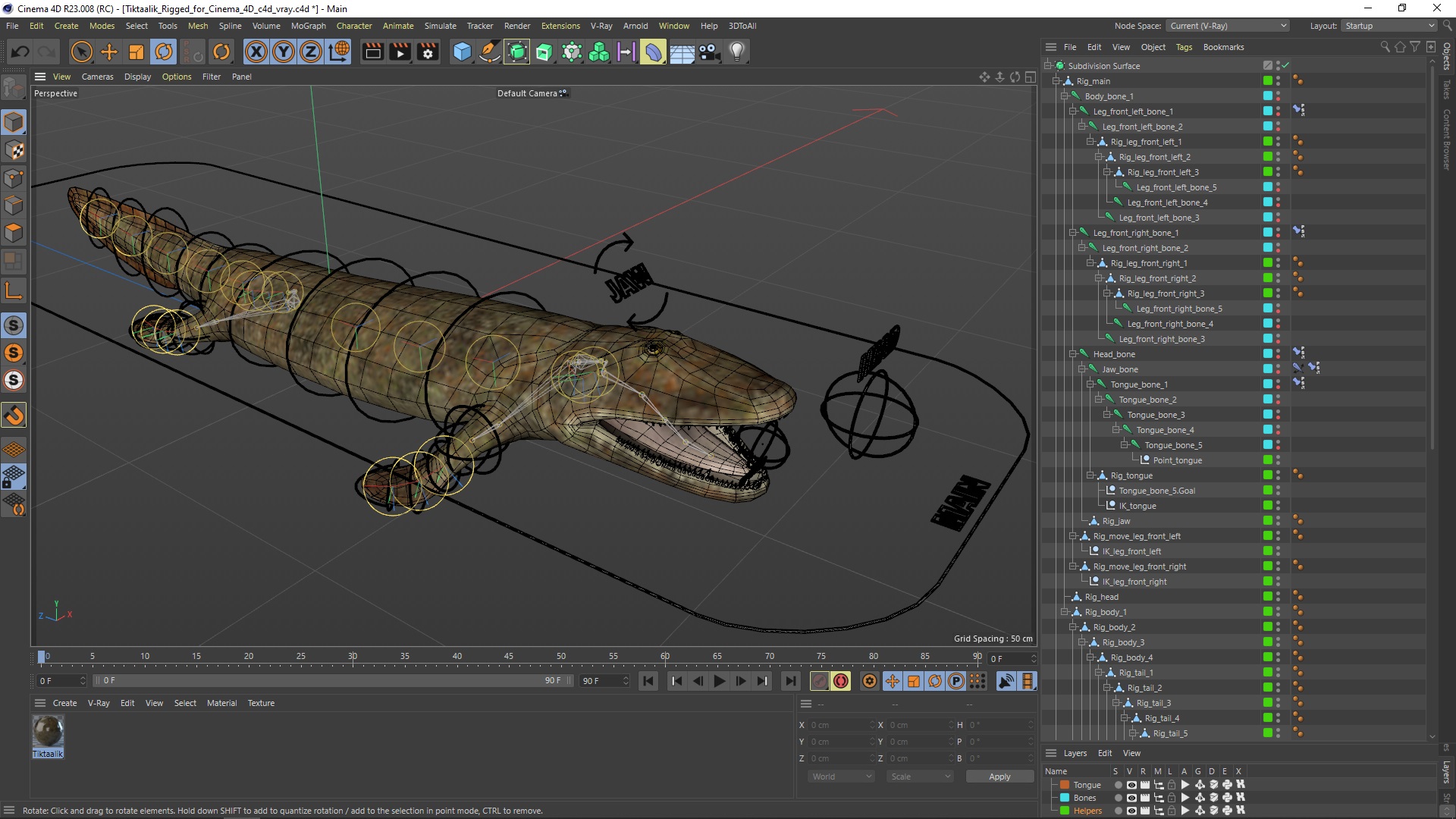 3D model Tiktaalik Rigged for Cinema 4D