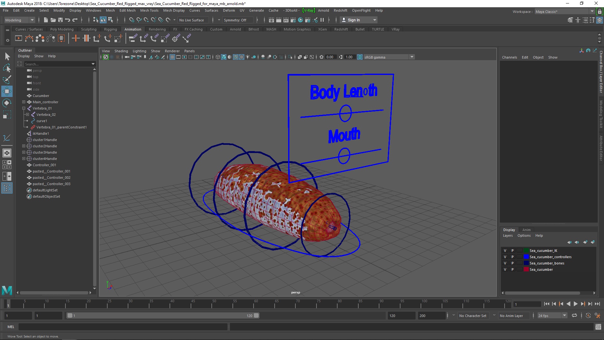 Sea Cucumber Red Rigged for Maya 3D