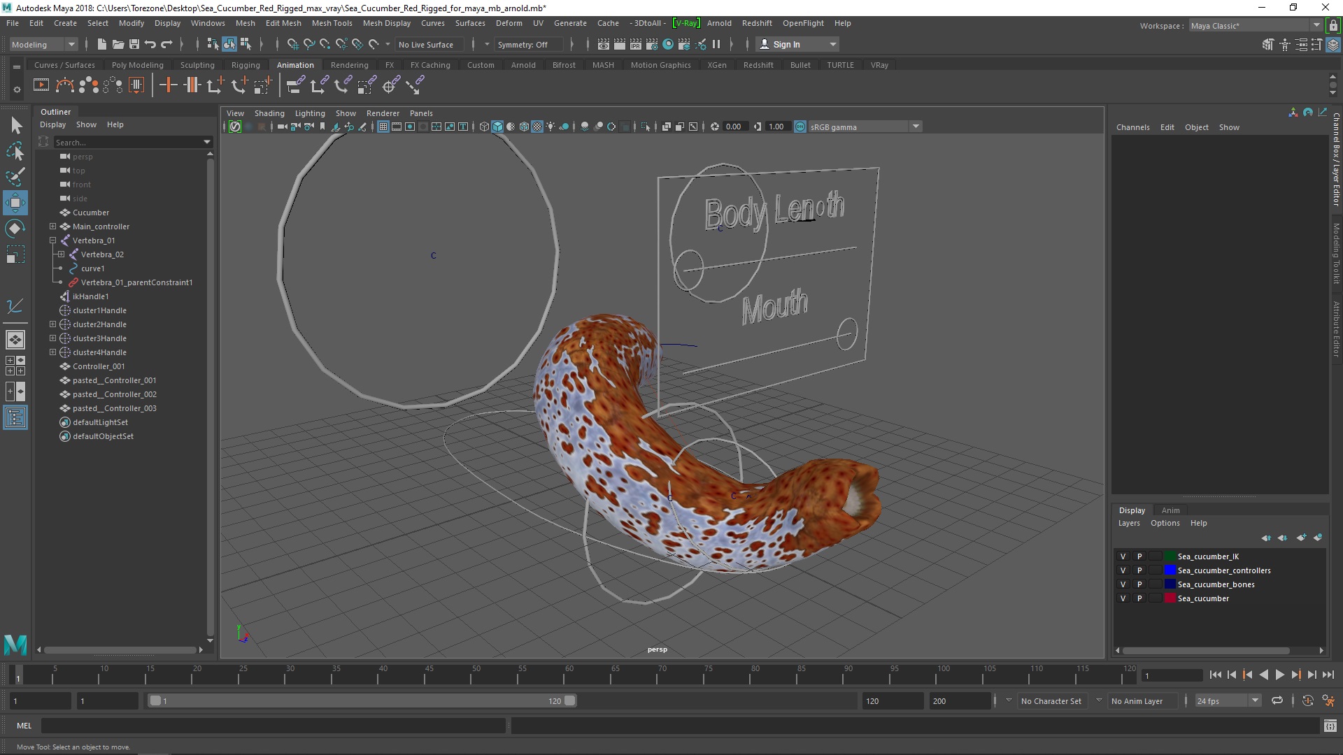 Sea Cucumber Red Rigged for Maya 3D