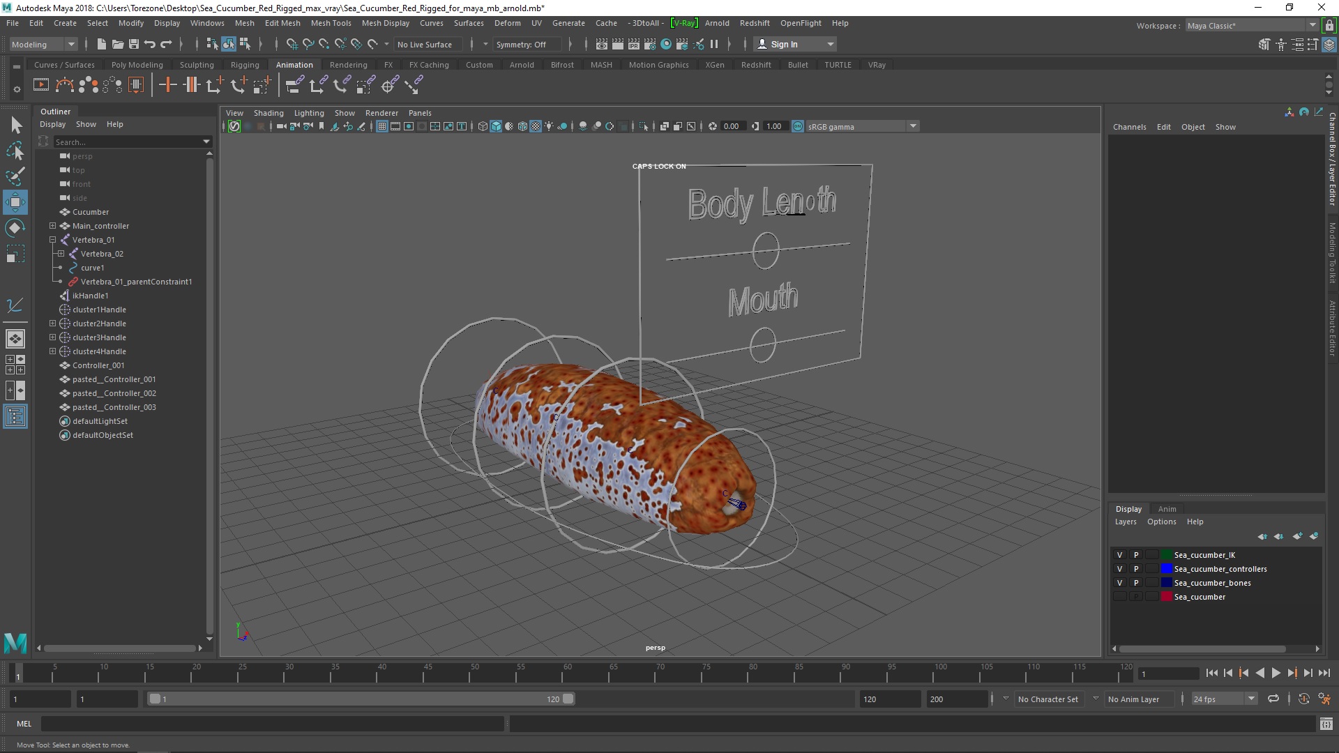 Sea Cucumber Red Rigged for Maya 3D