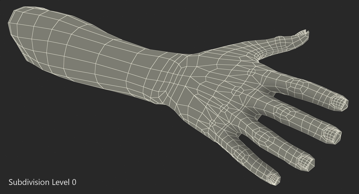 3D Mongoloid Female Hand Rigged model