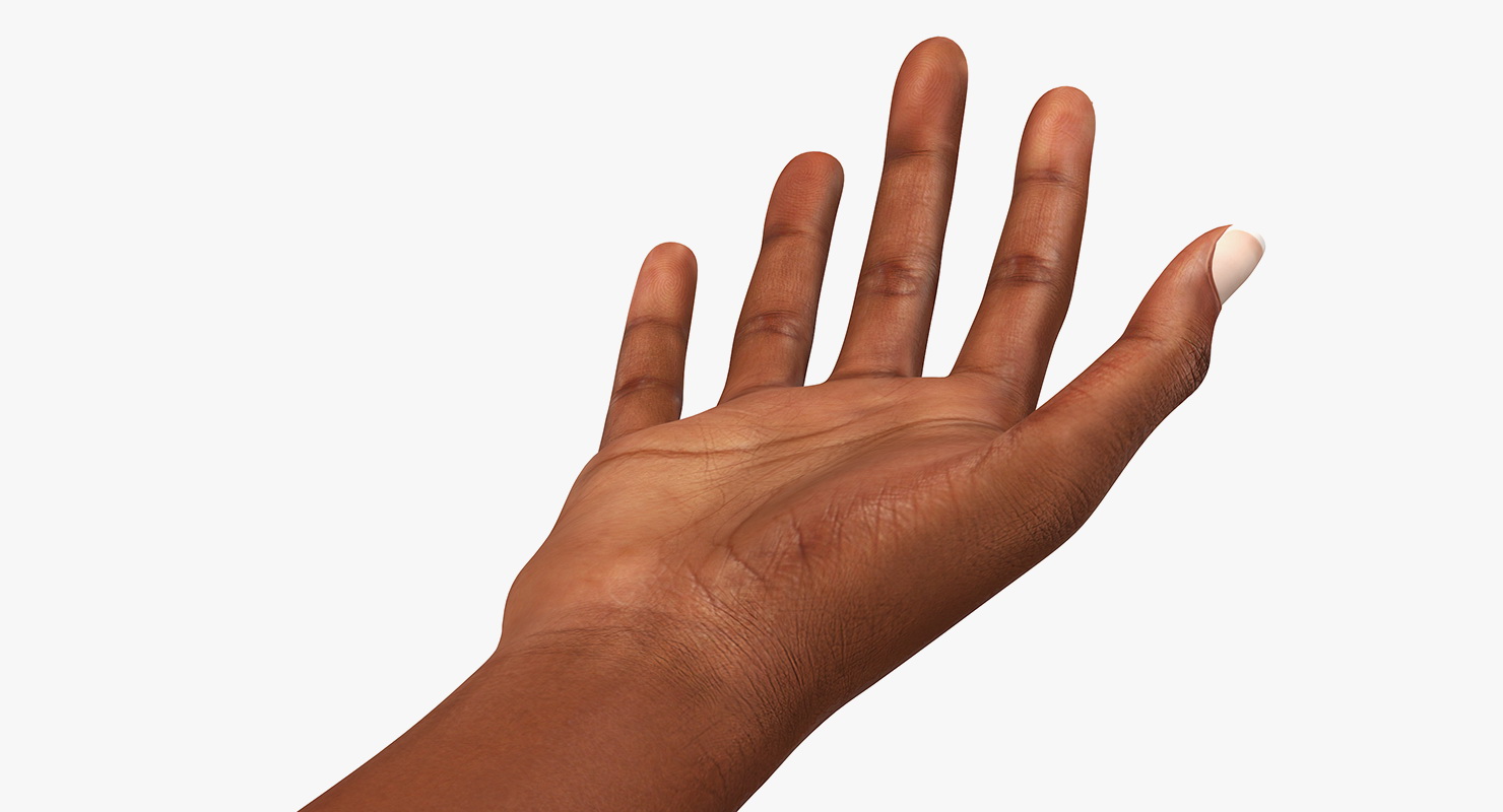 3D Mongoloid Female Hand Rigged model