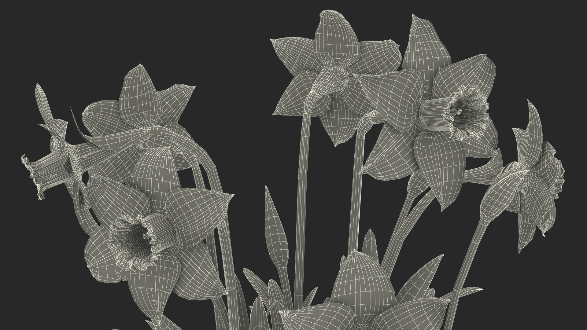 Daffodils Growing 3D