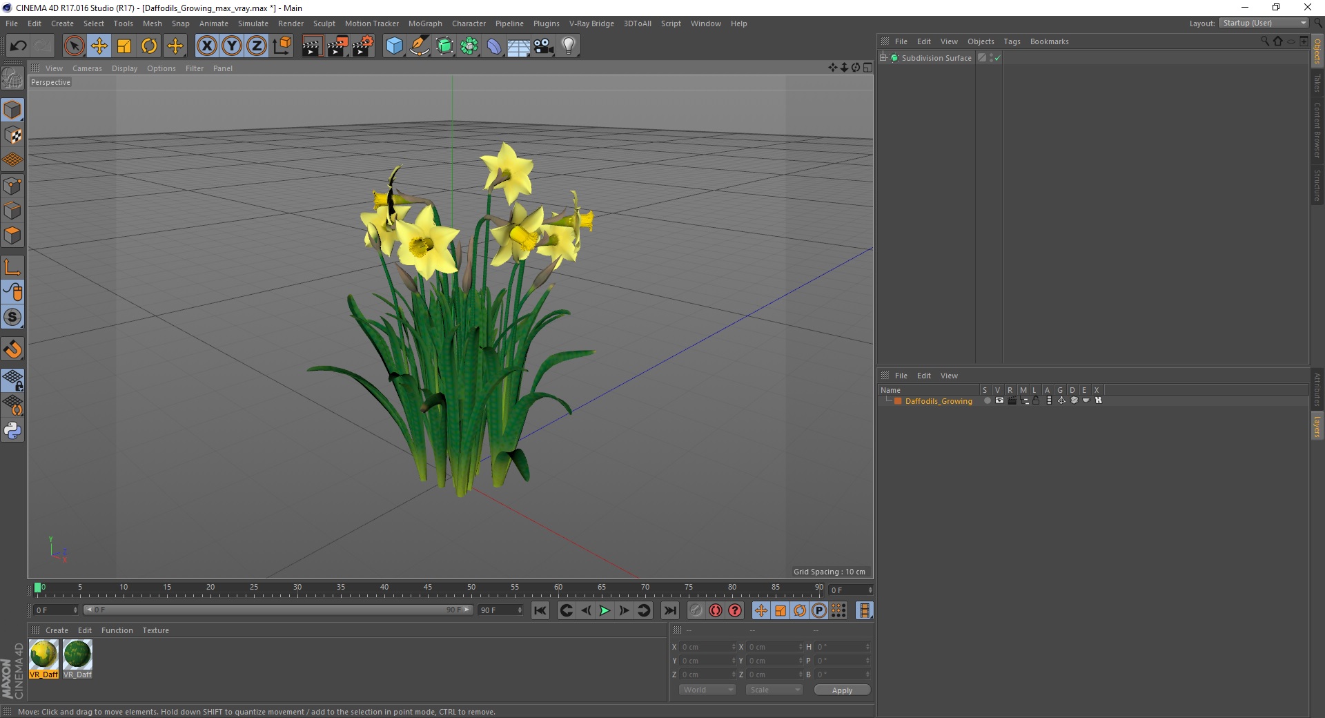 Daffodils Growing 3D