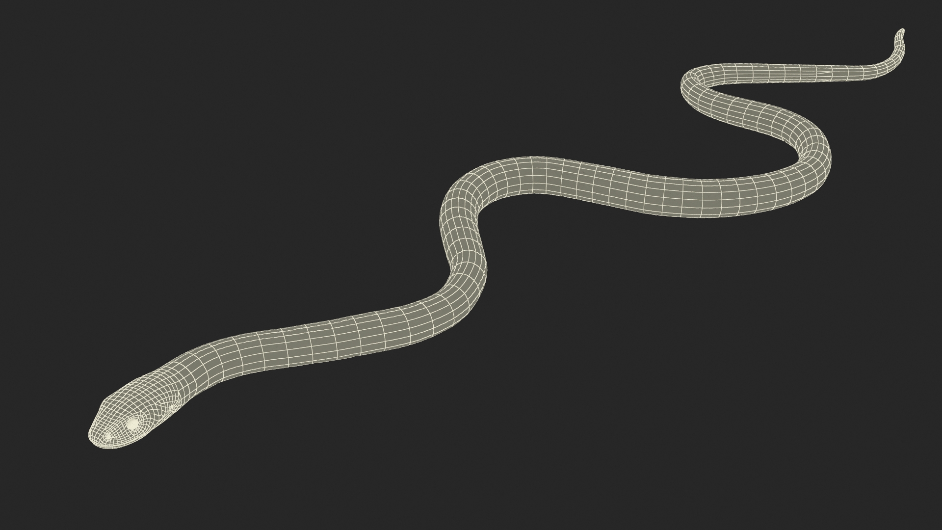 Grass Snake Brown Rigged 3D model