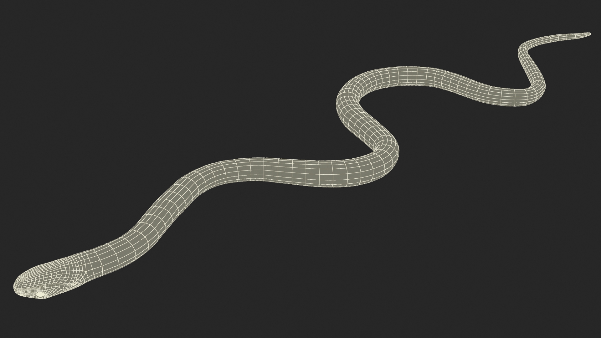 Grass Snake Brown Rigged 3D model