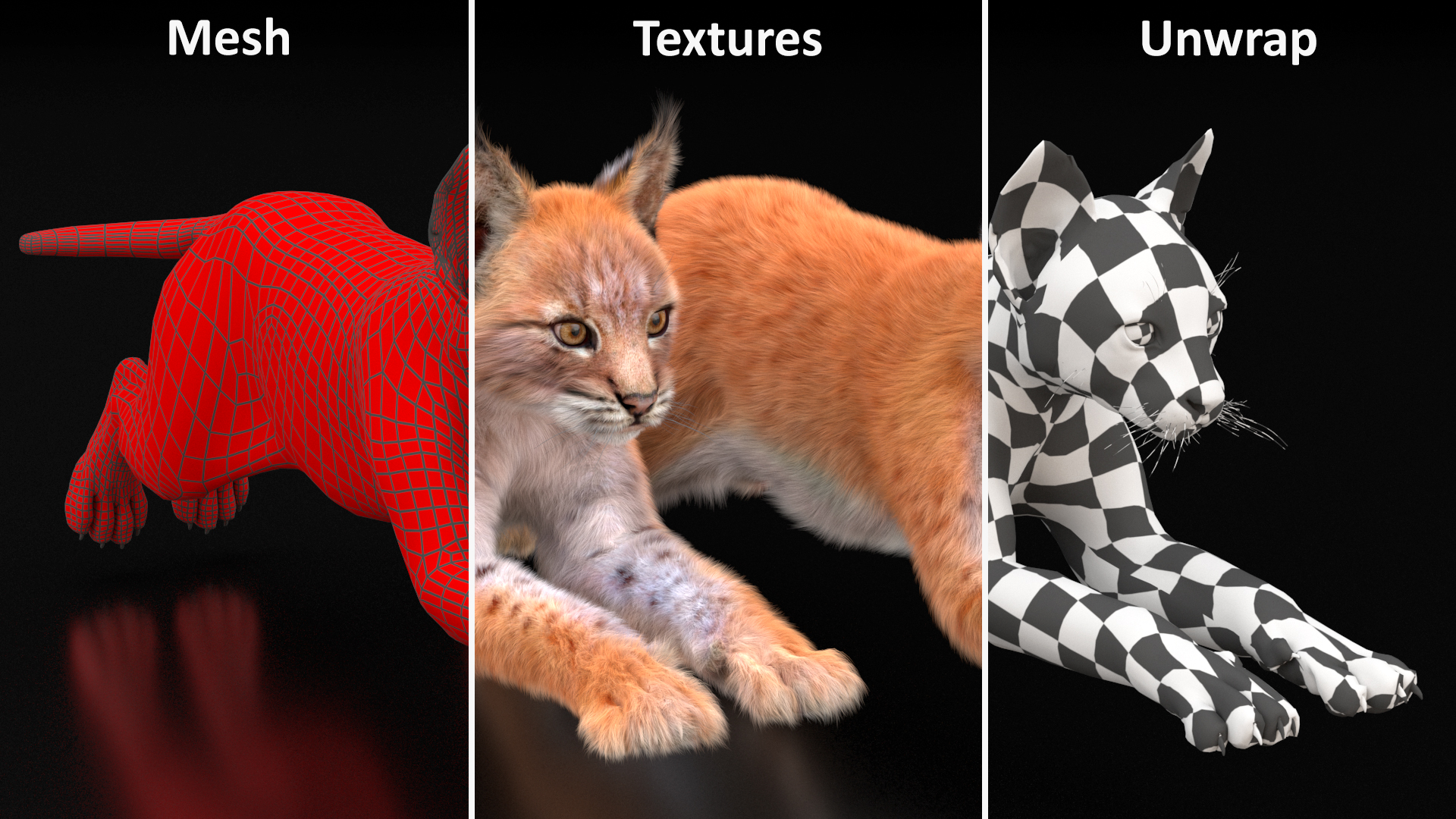 3D Lynx Cub in Jumping Pose Fur model