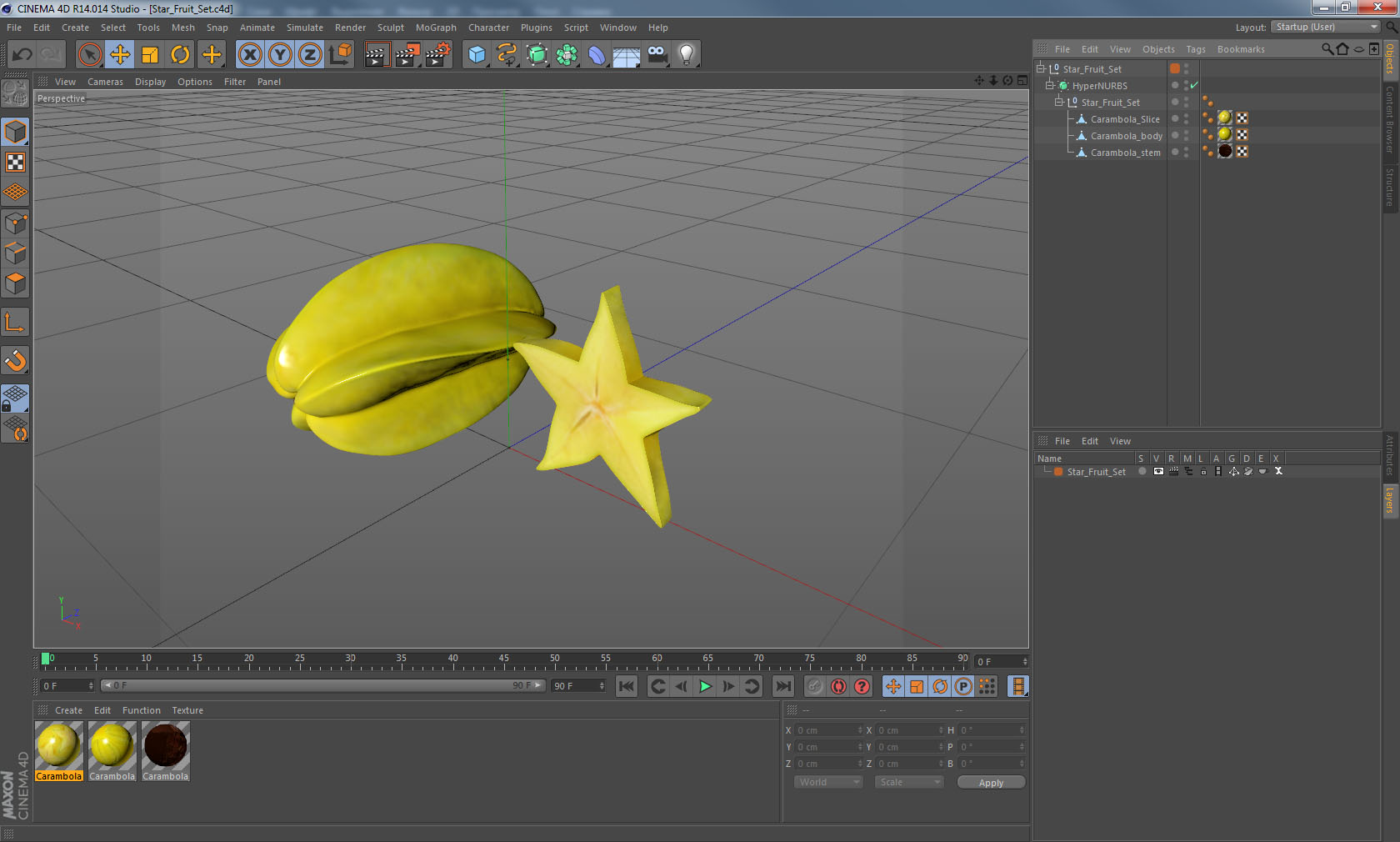 Star Fruit Set 3D model