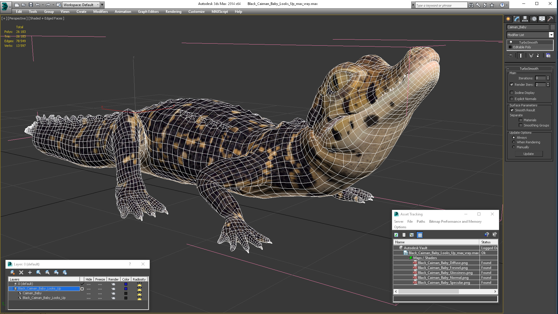 3D Black Caiman Baby Looks Up