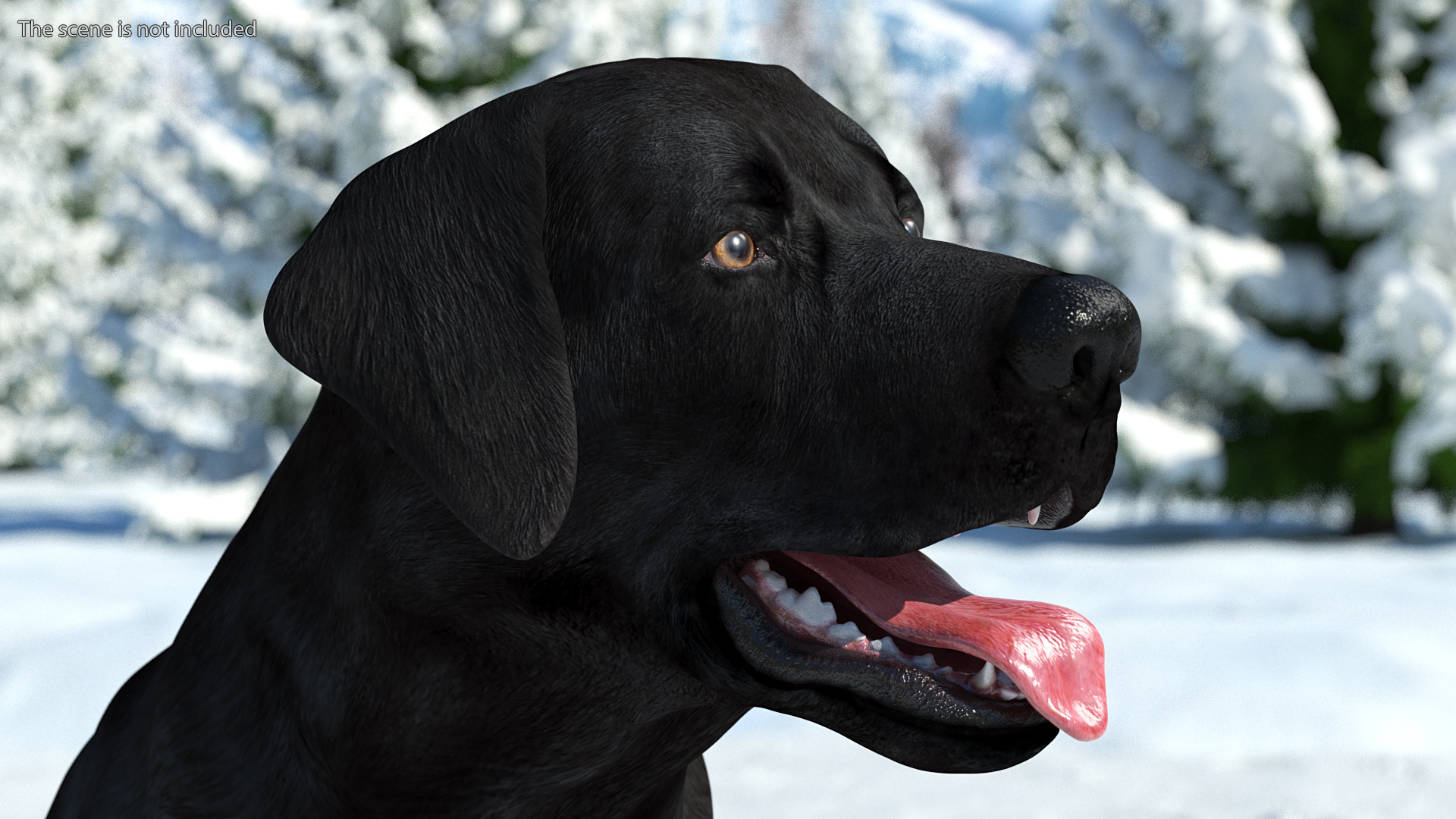 3D model Labrador Dog Black Rigged