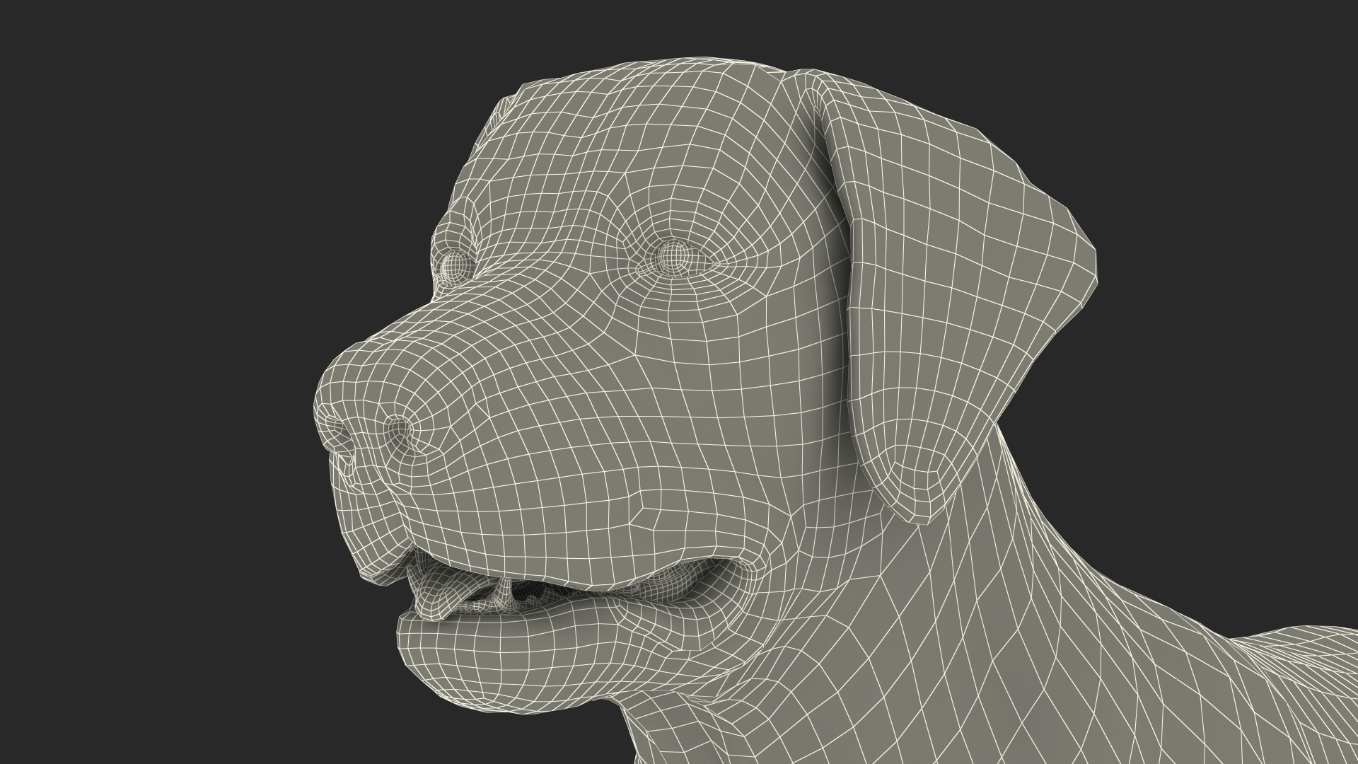 3D model Labrador Dog Black Rigged