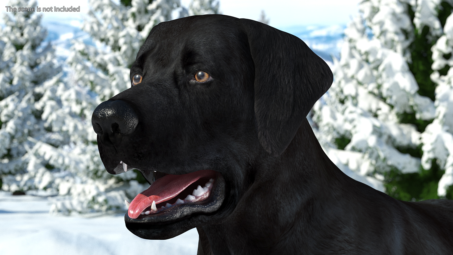 3D model Labrador Dog Black Rigged