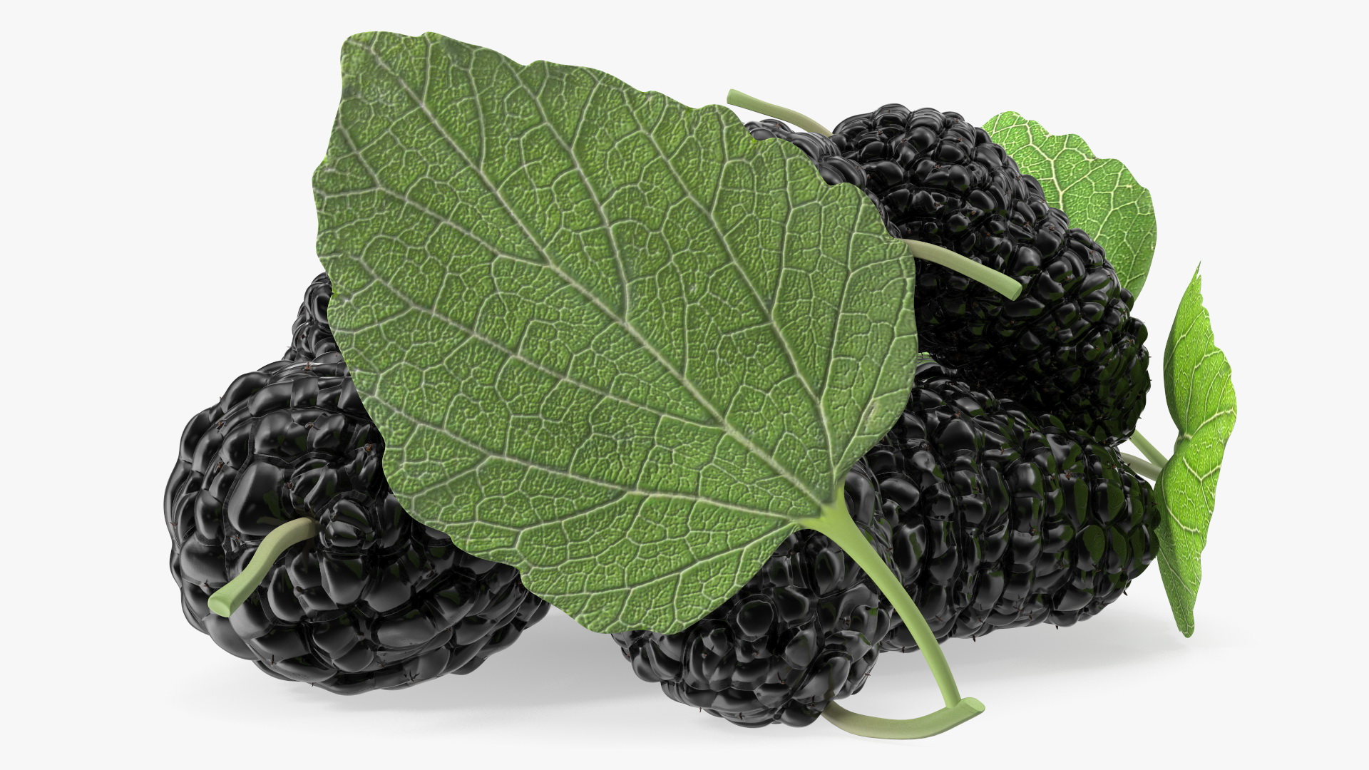 3D Pile of Mulberry Fruit Black model