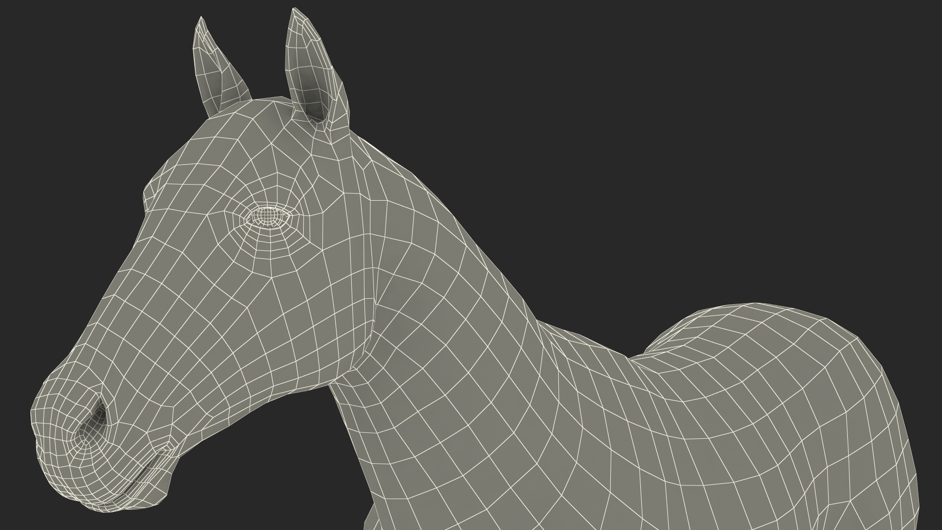 3D White Horse Rigged model