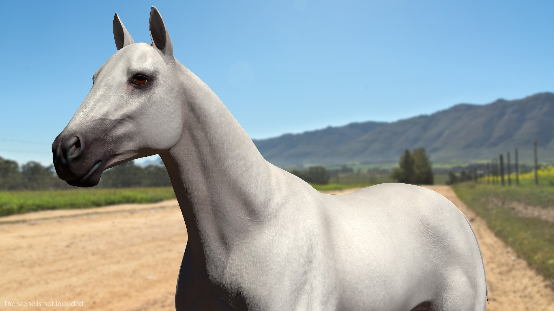 3D White Horse Rigged model