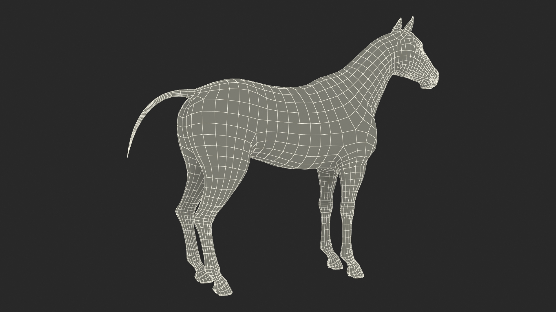 3D White Horse Rigged model