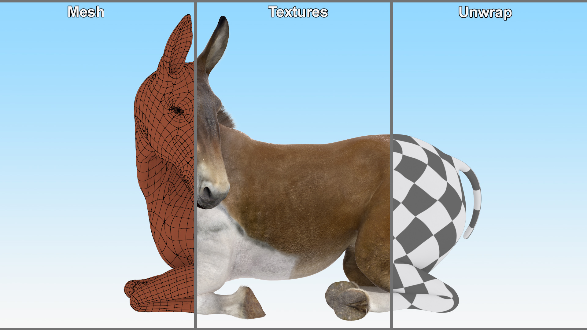 Lying Mule Fur 3D model