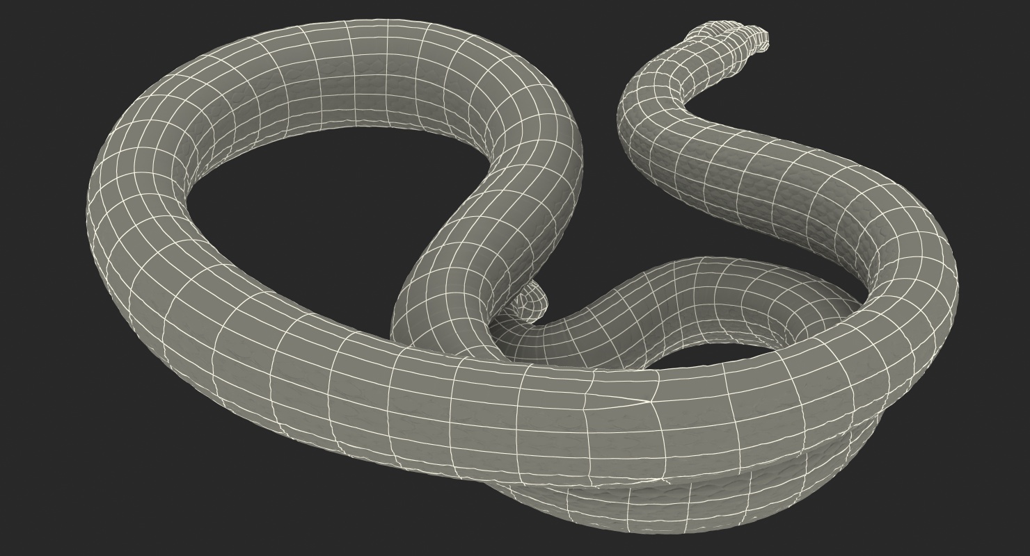 3D Dark Rattlesnake