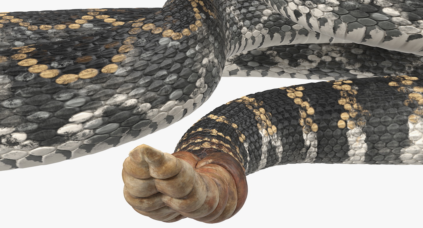 3D Dark Rattlesnake