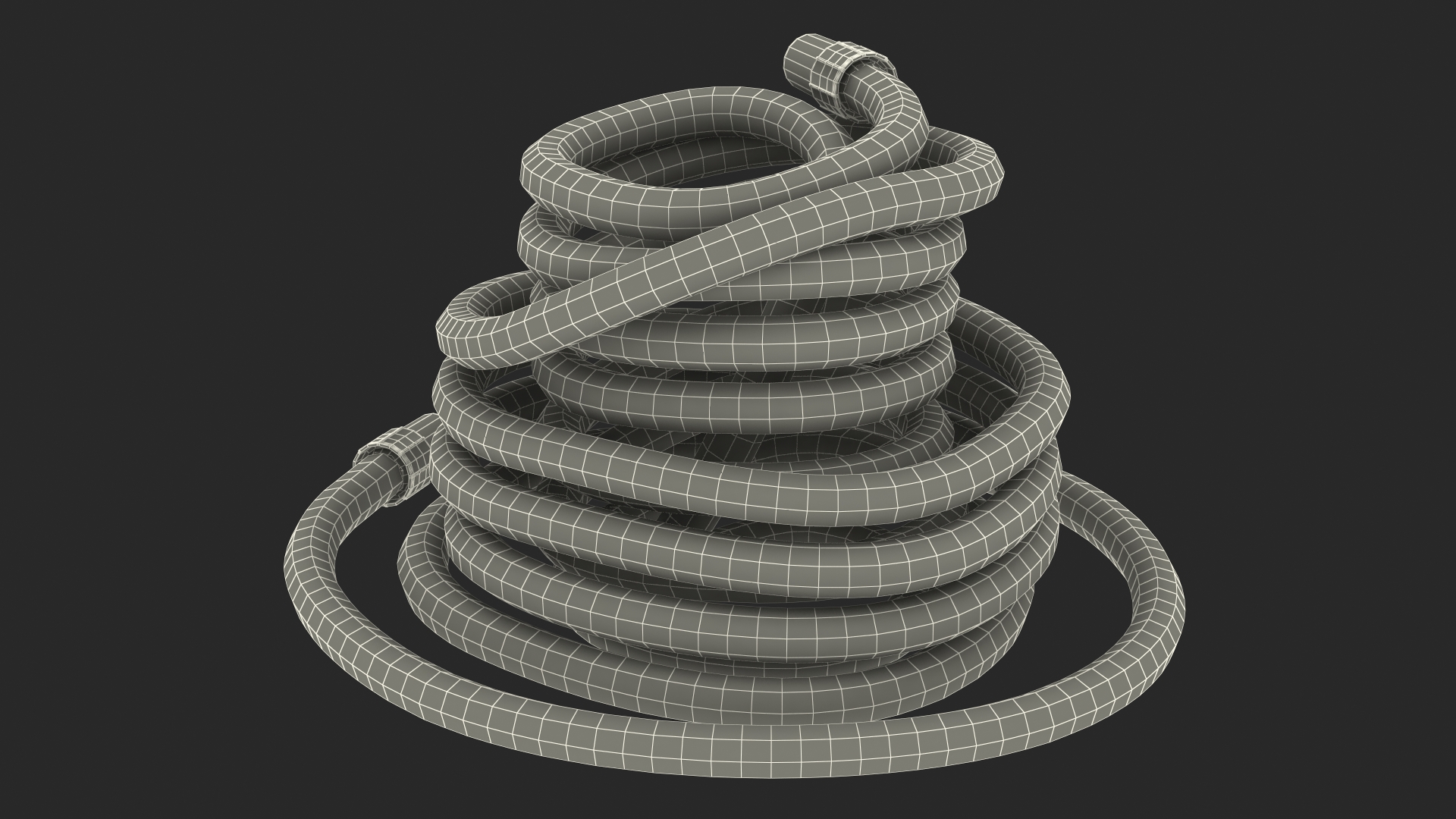 Rolled Suction Hose 3D model