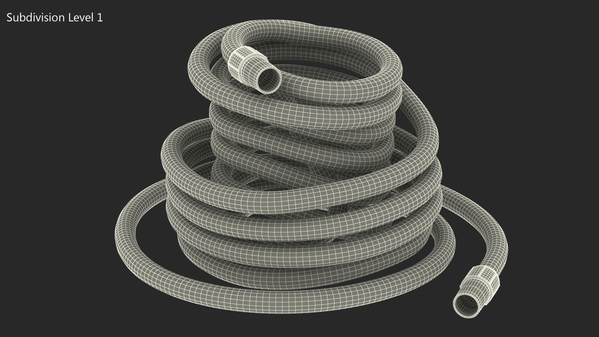 Rolled Suction Hose 3D model