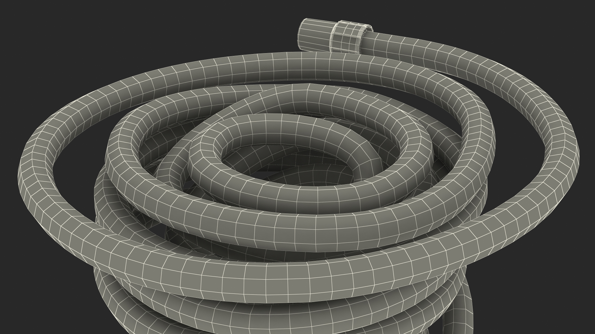 Rolled Suction Hose 3D model