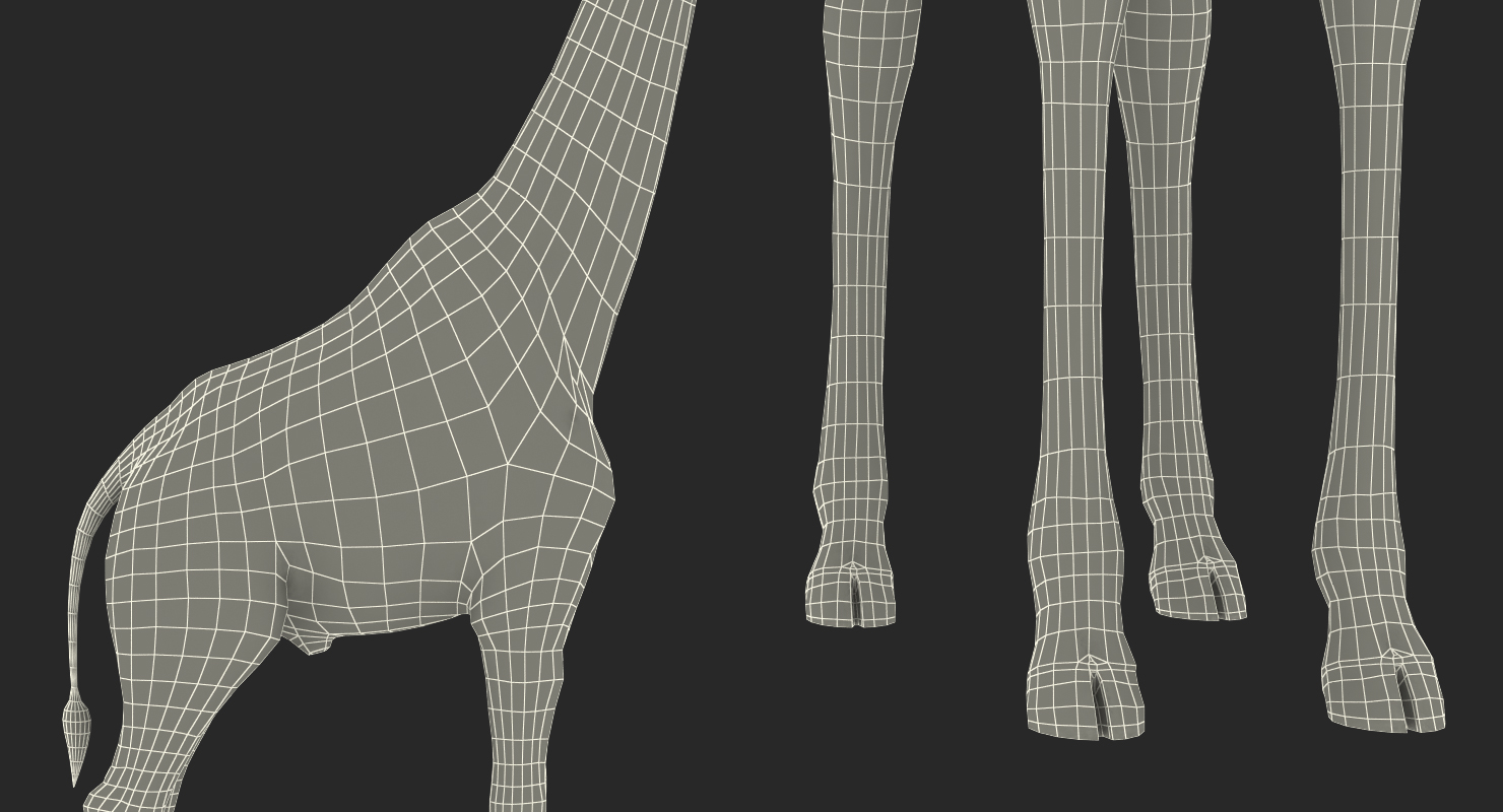 3D African Giraffe Fur Rigged