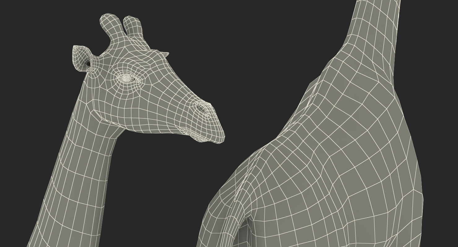 3D African Giraffe Fur Rigged