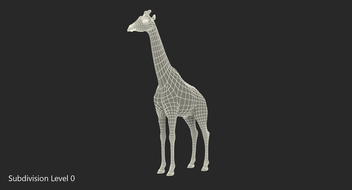 3D African Giraffe Fur Rigged