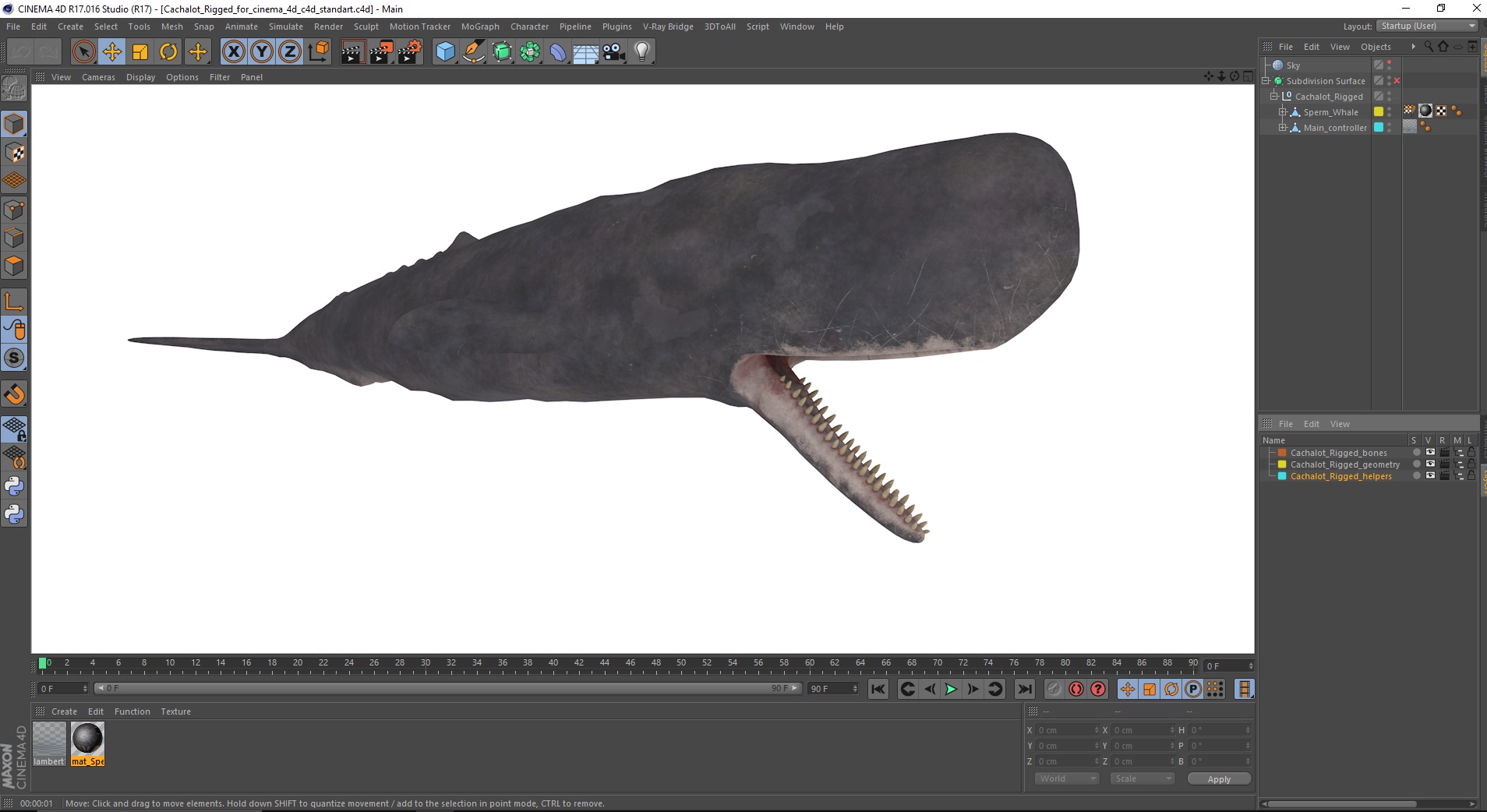 Cachalot Rigged for Cinema 4D 3D model