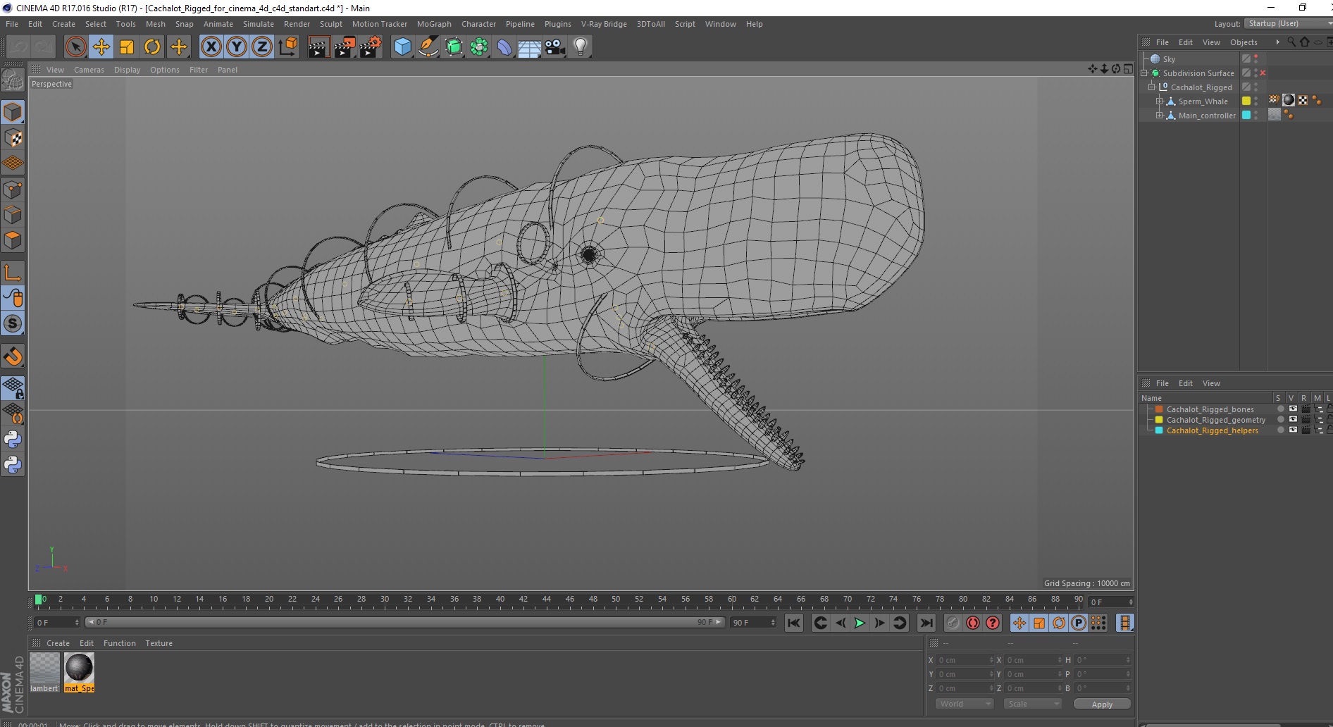 Cachalot Rigged for Cinema 4D 3D model