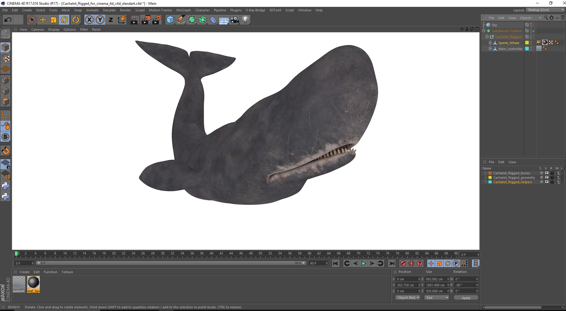 Cachalot Rigged for Cinema 4D 3D model
