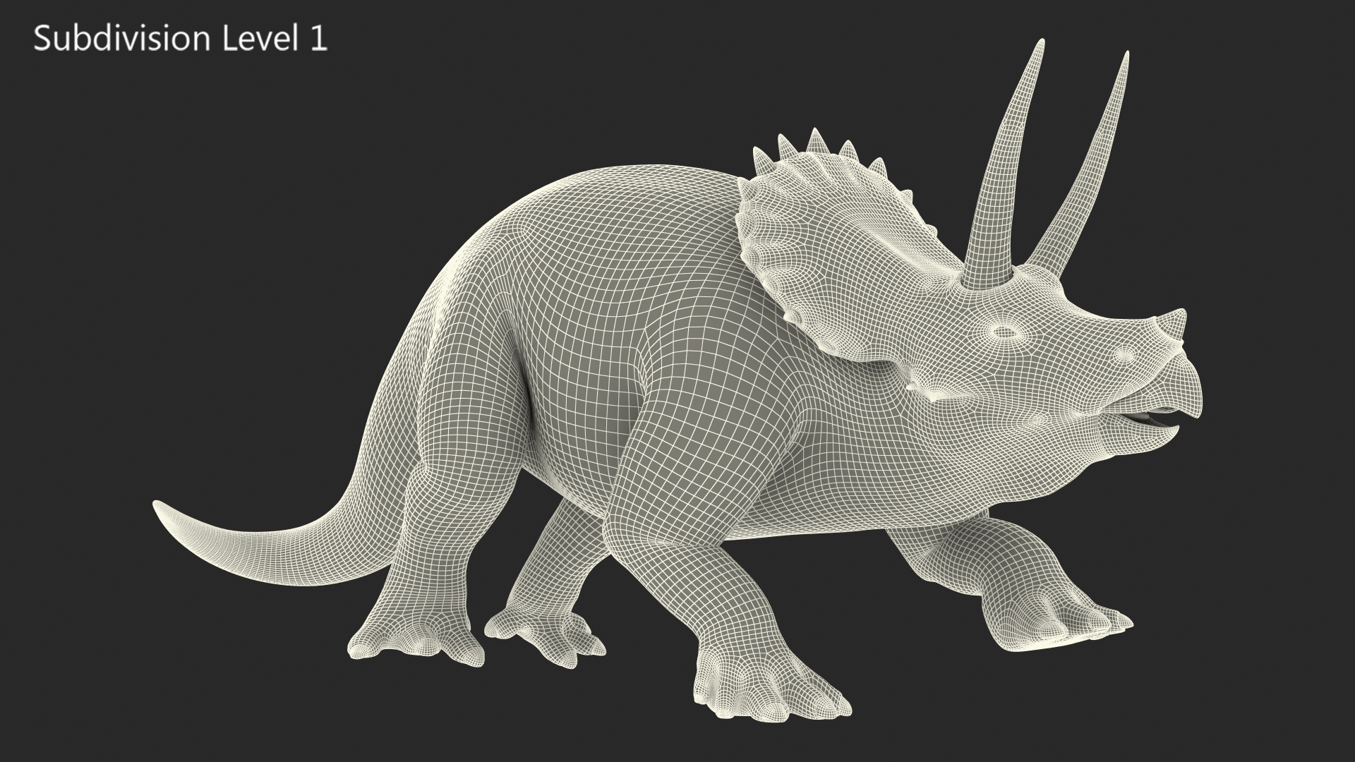 Triceratops Skeleton Fossil with Transparent Skin 3D model