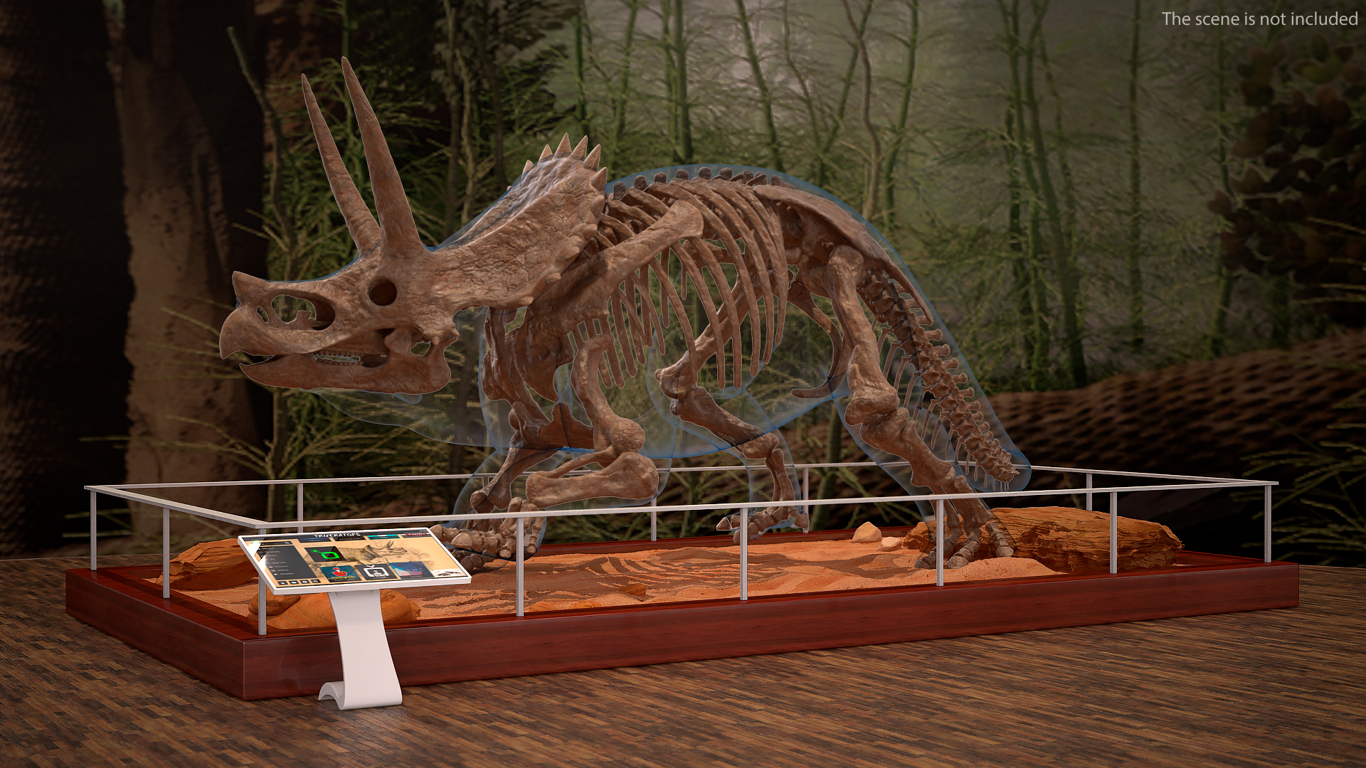 Triceratops Skeleton Fossil with Transparent Skin 3D model