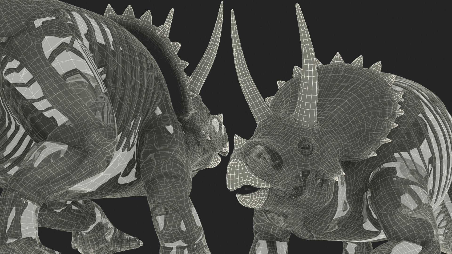 Triceratops Skeleton Fossil with Transparent Skin 3D model