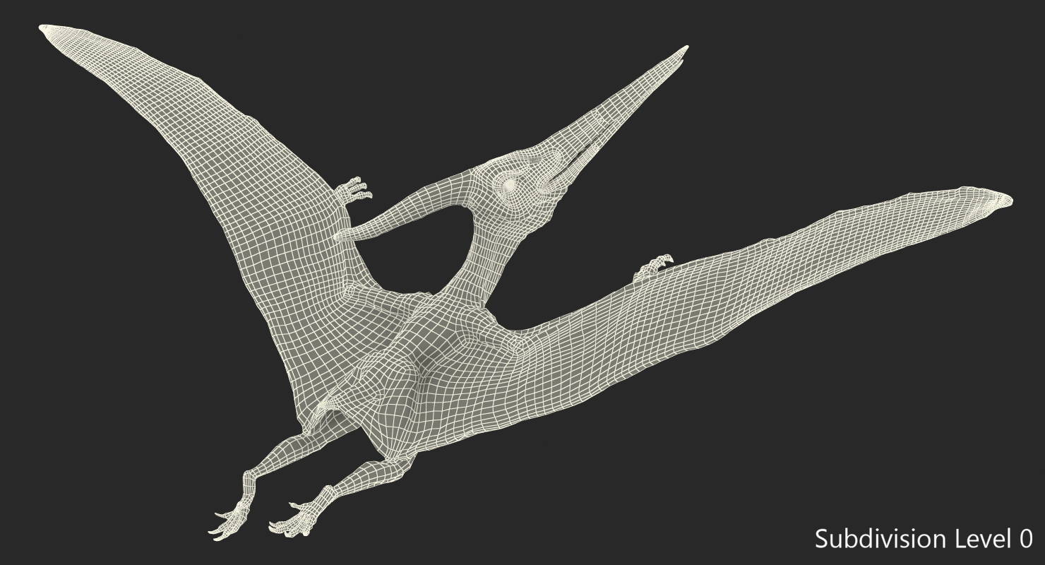 3D Pteranodon Flying Carnivorous Reptile Flying Pose with Fur model