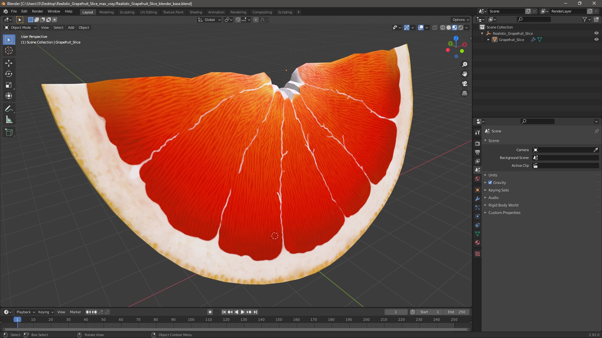 3D Realistic Grapefruit Slice