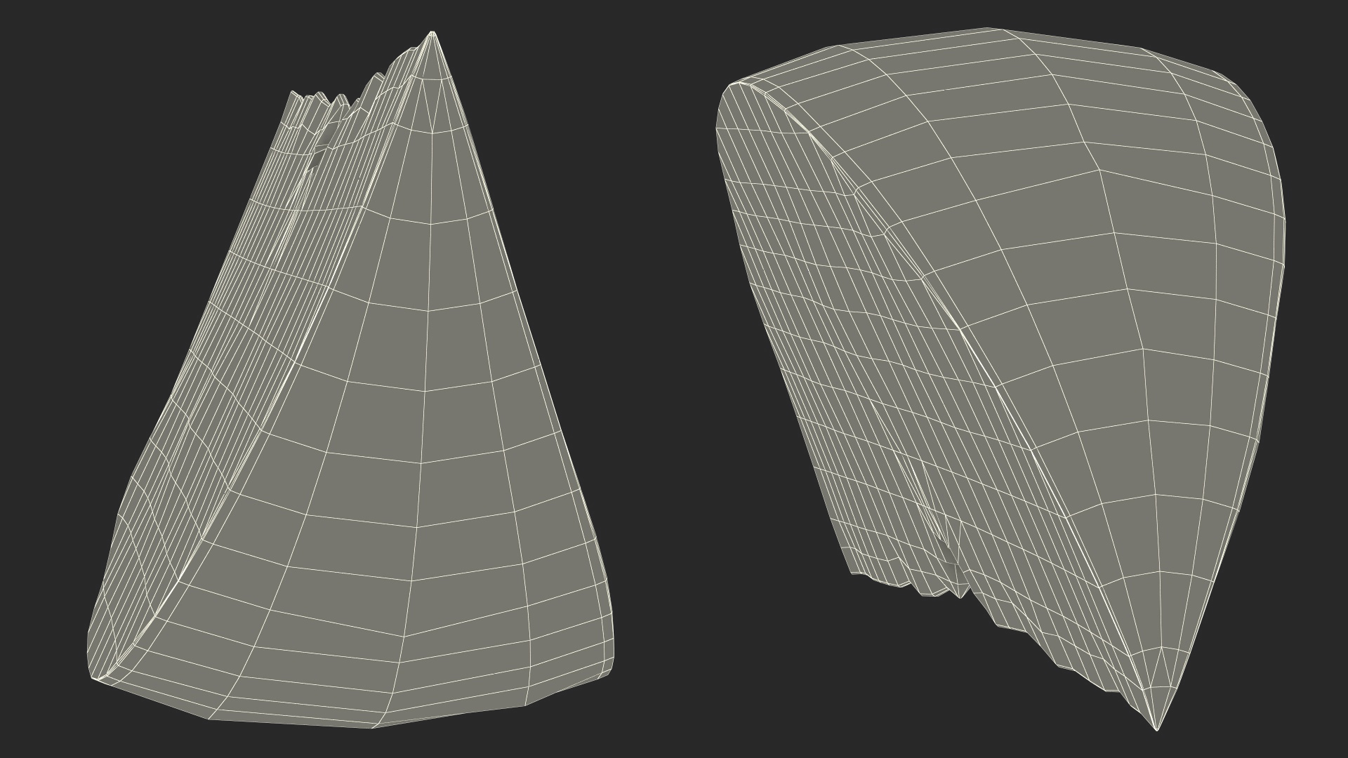 3D Realistic Grapefruit Slice