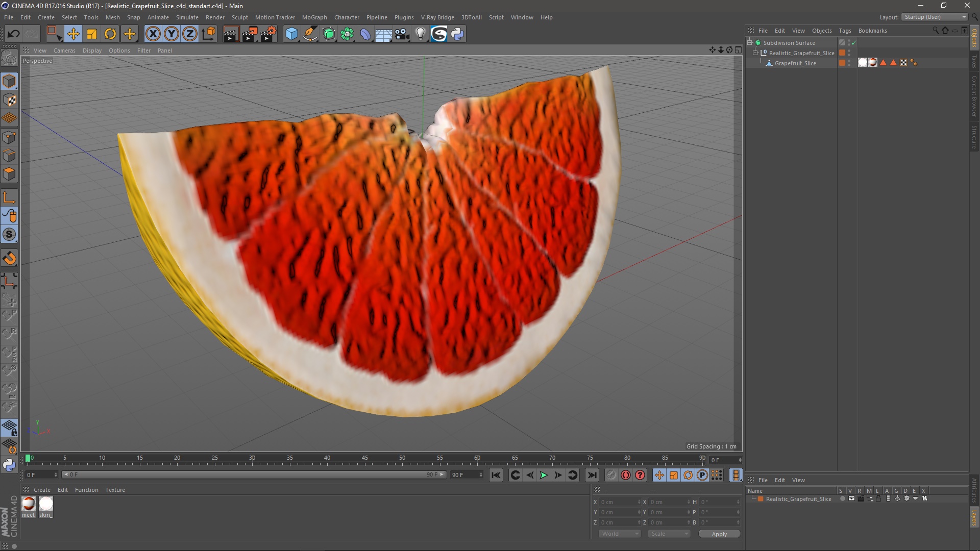 3D Realistic Grapefruit Slice