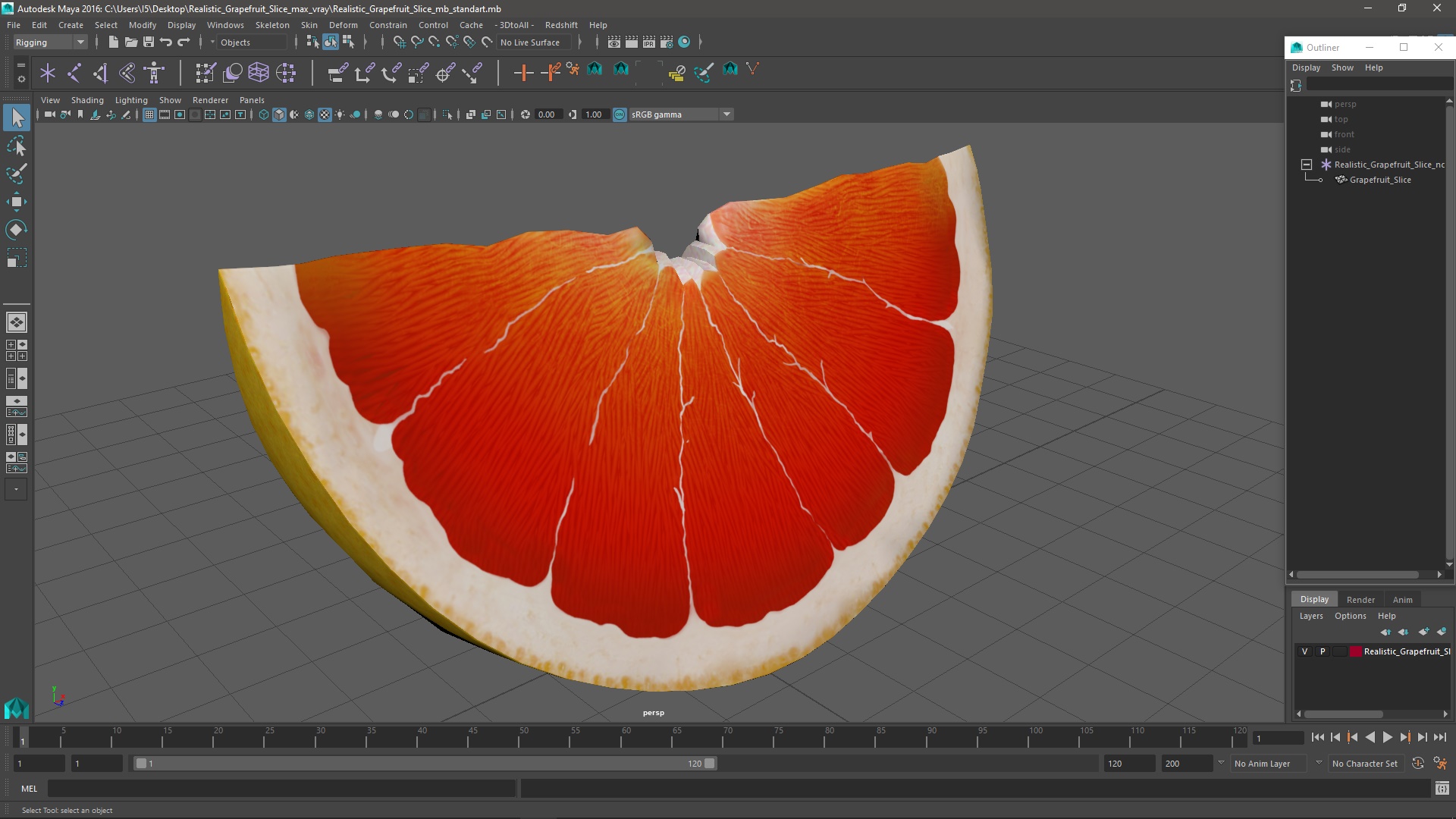 3D Realistic Grapefruit Slice