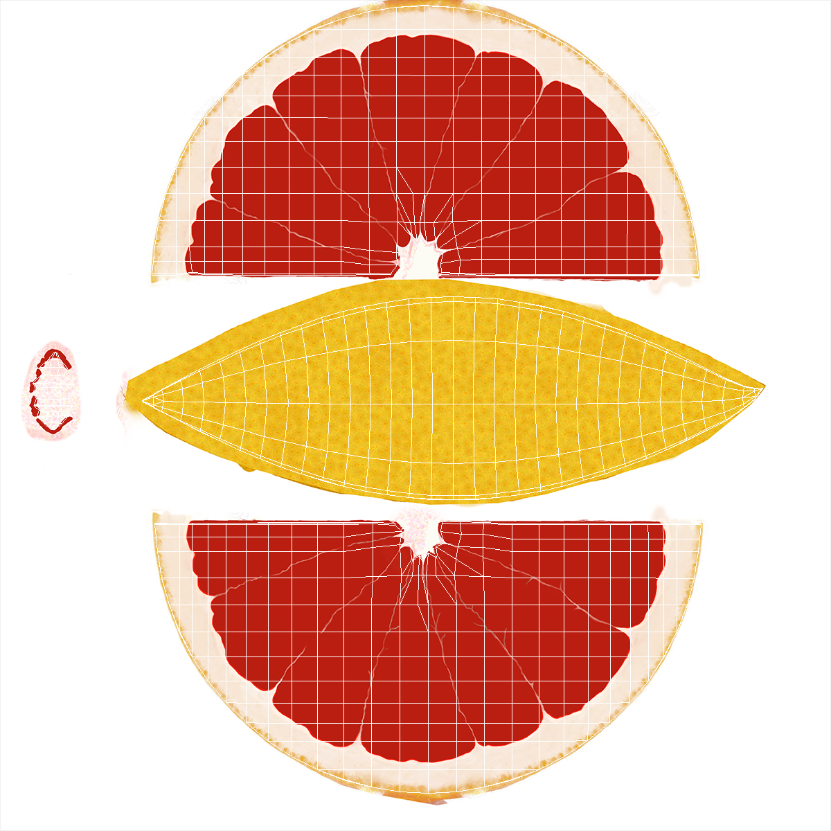 3D Realistic Grapefruit Slice