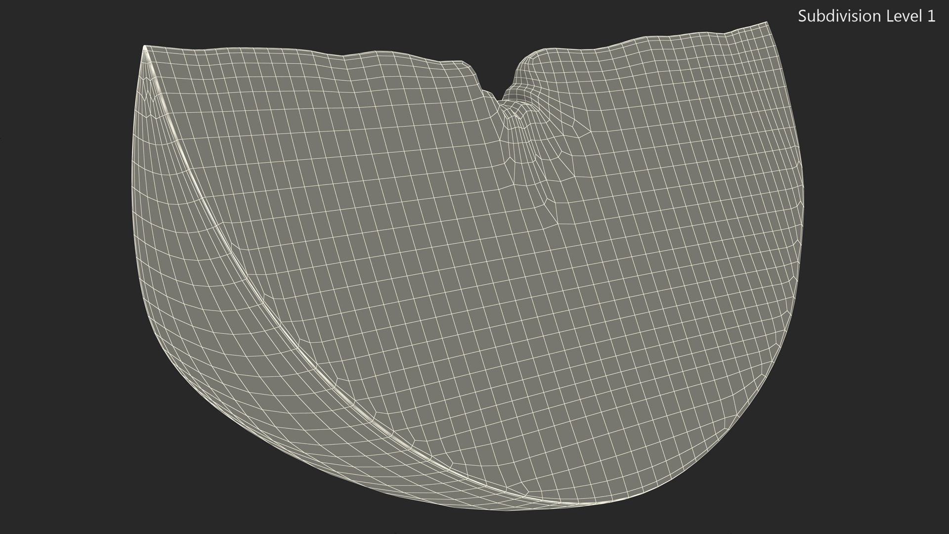 3D Realistic Grapefruit Slice