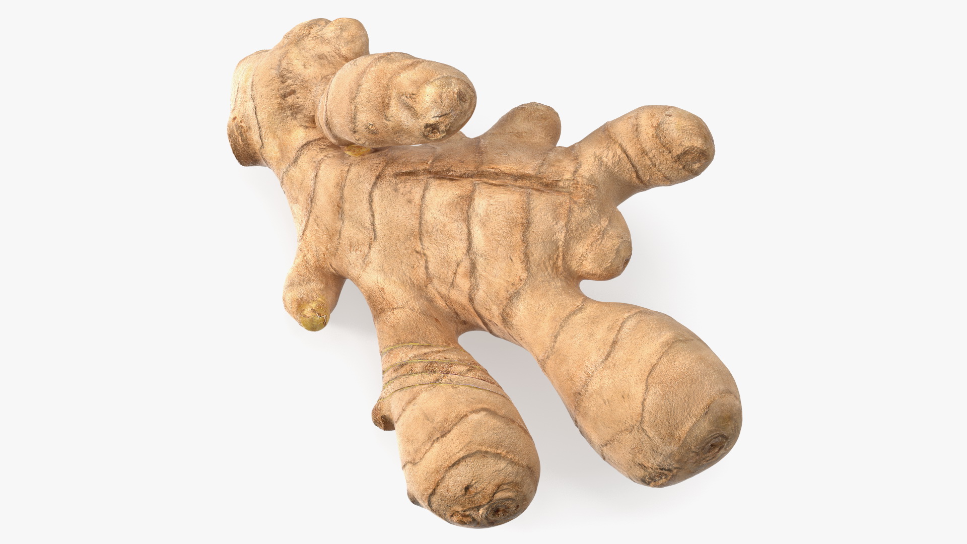 3D Ginger With Sliced Part model