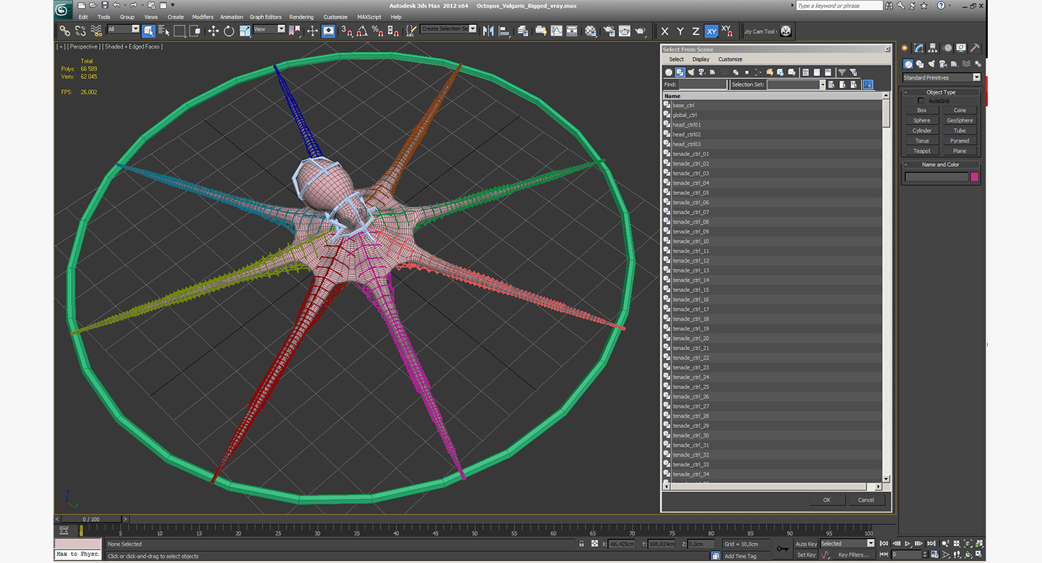 3D Octopus Vulgaris Rigged model