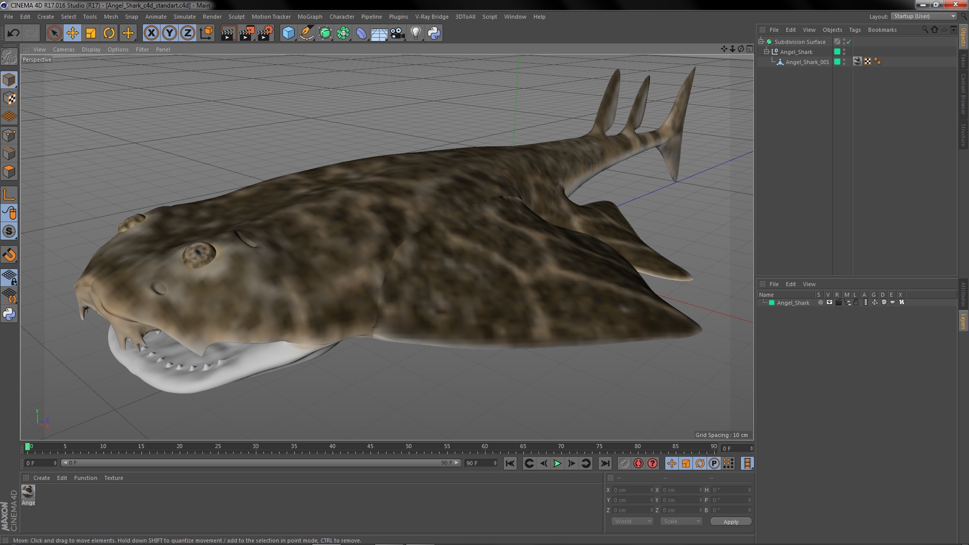 3D Angel Shark