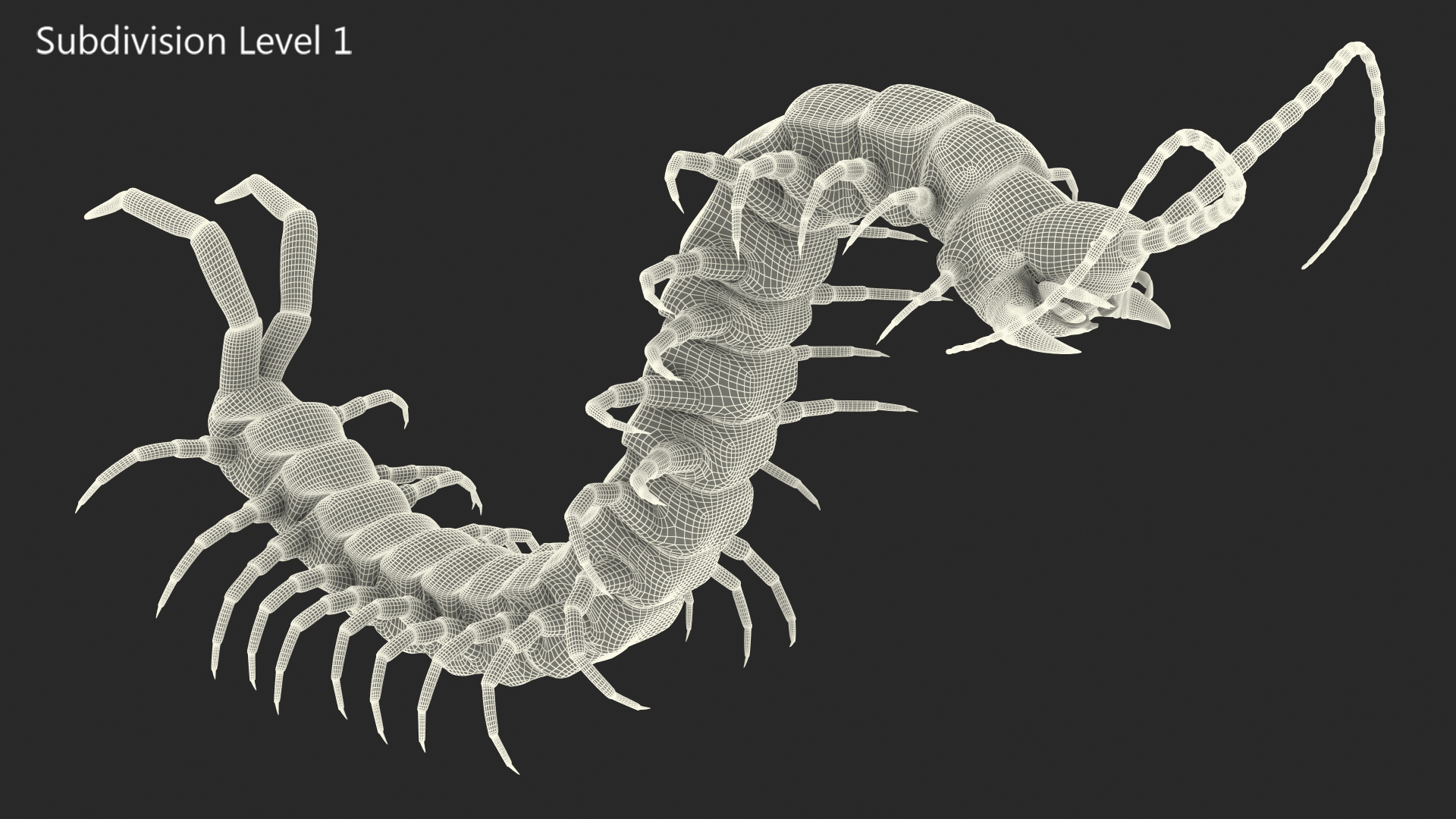 3D Scolopendra Heros Arizona Giant Centipede Rigged model