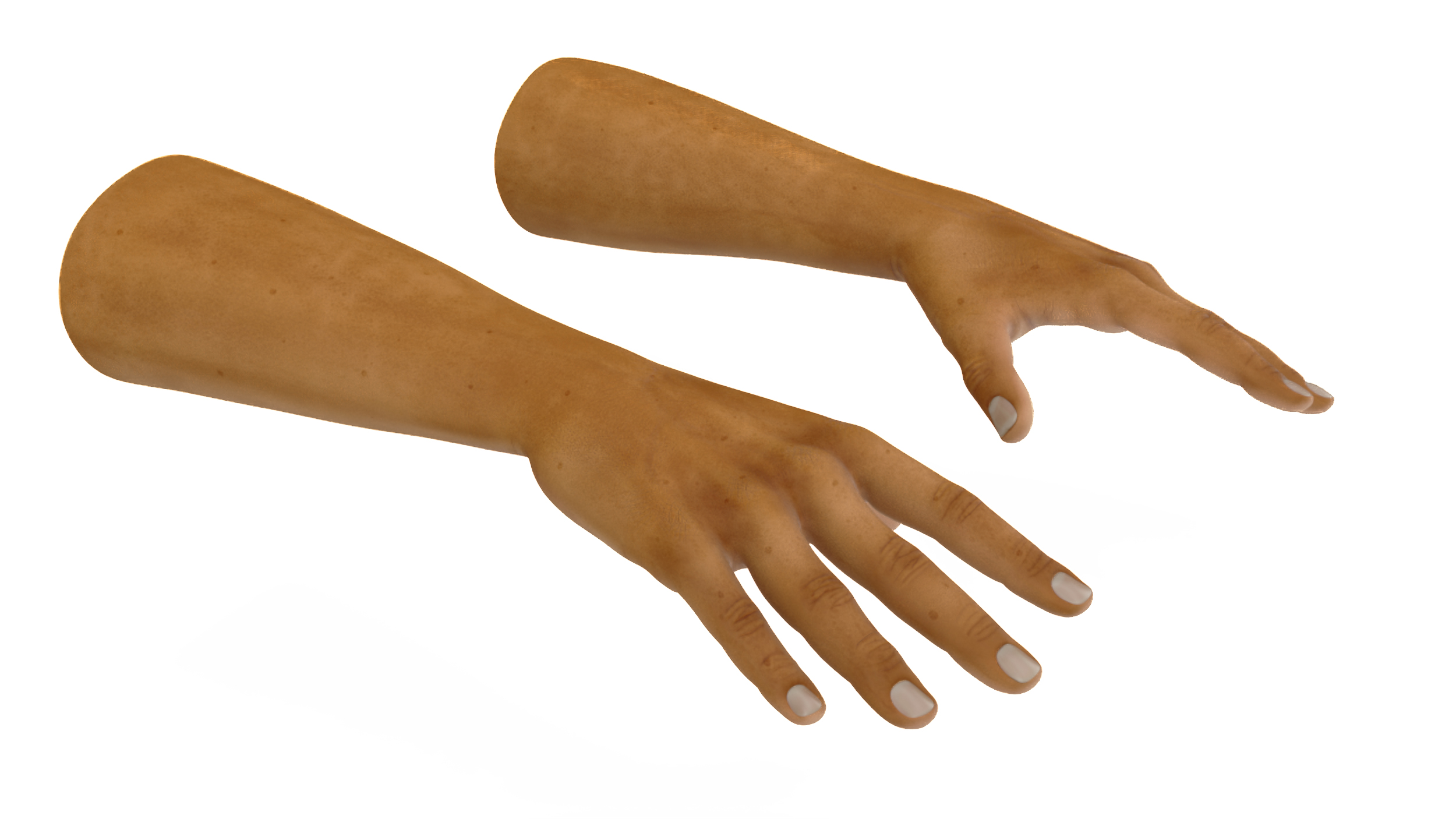 European Man Hands Rigged for Cinema 4D 3D model