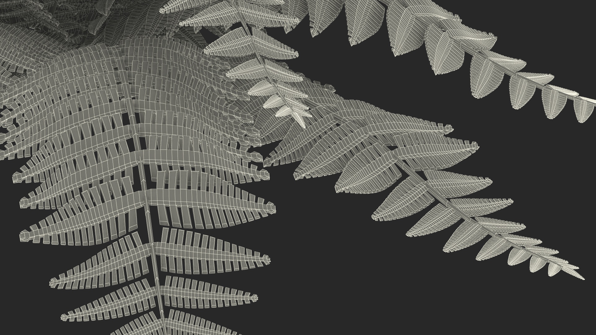 3D model Realistic Fern Plant