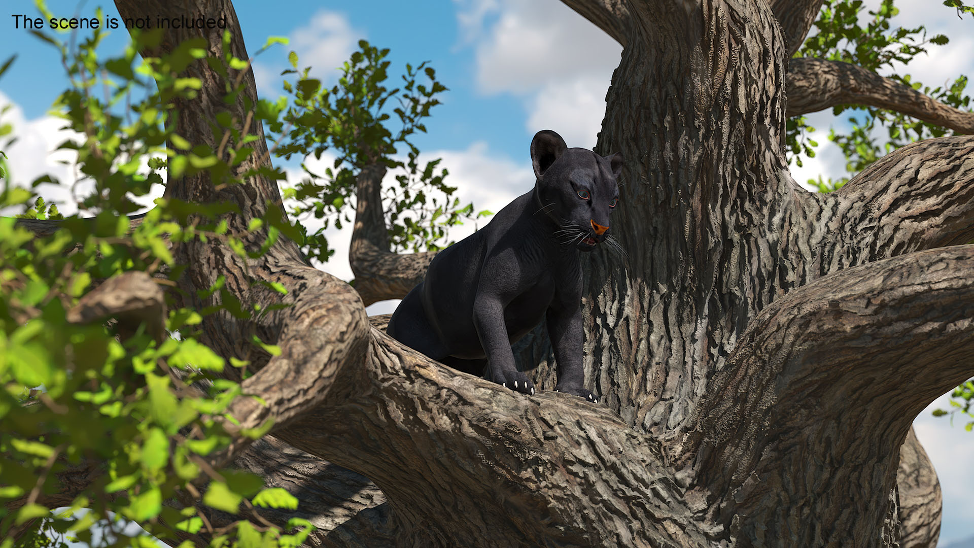 3D Black Panther Cub on Ancient Twisted Tree