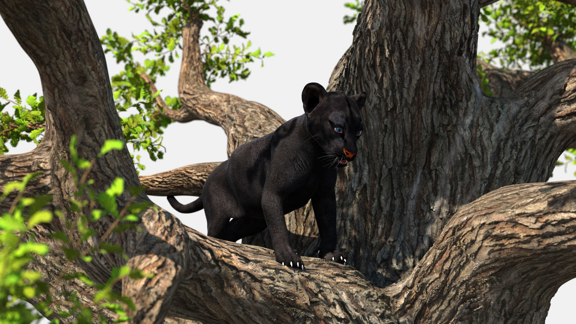 3D Black Panther Cub on Ancient Twisted Tree